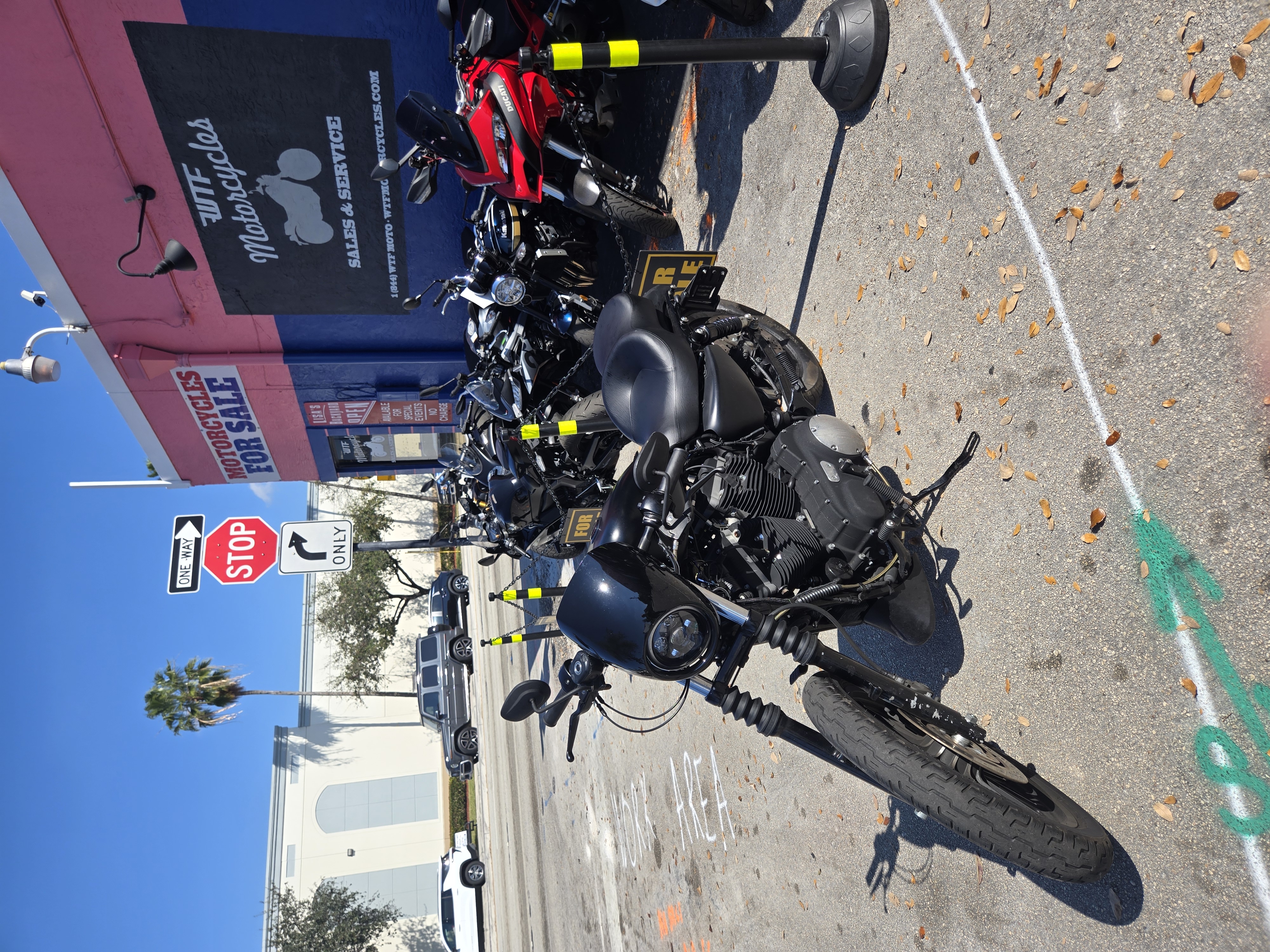 2010 Harley Davidson Sporster 883