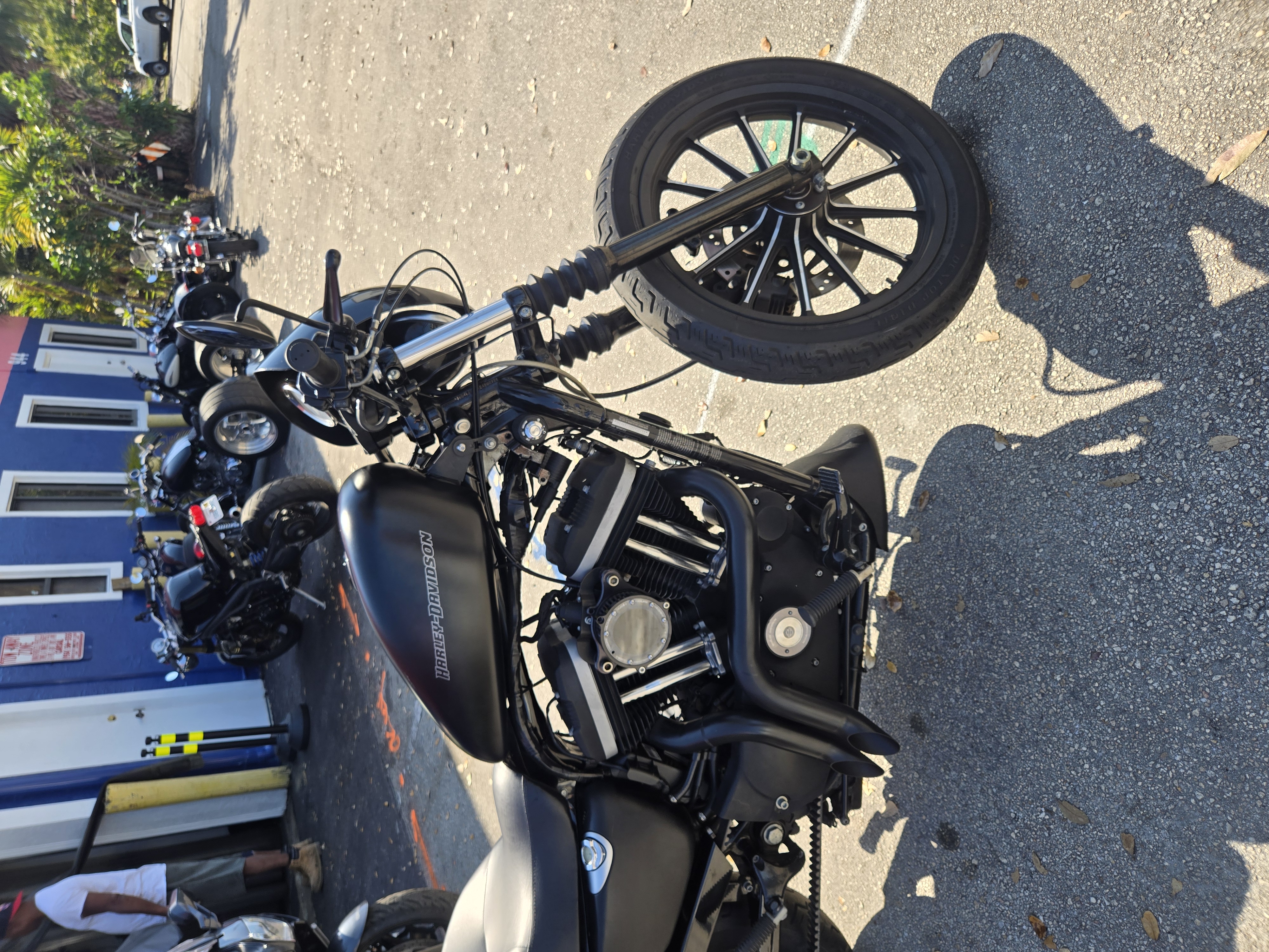 2010 Harley Davidson Sporster 883