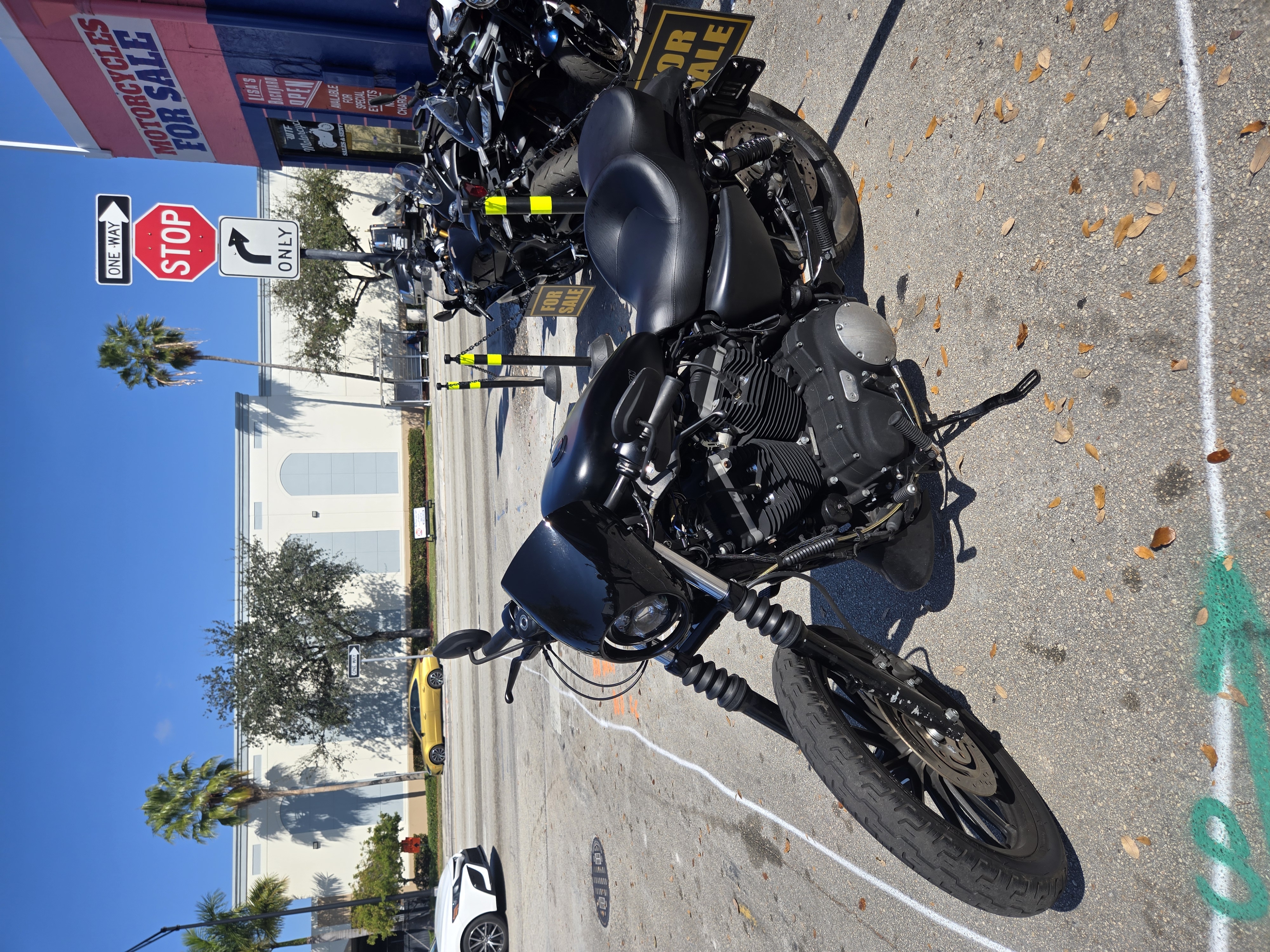 2010 Harley Davidson Sporster 883