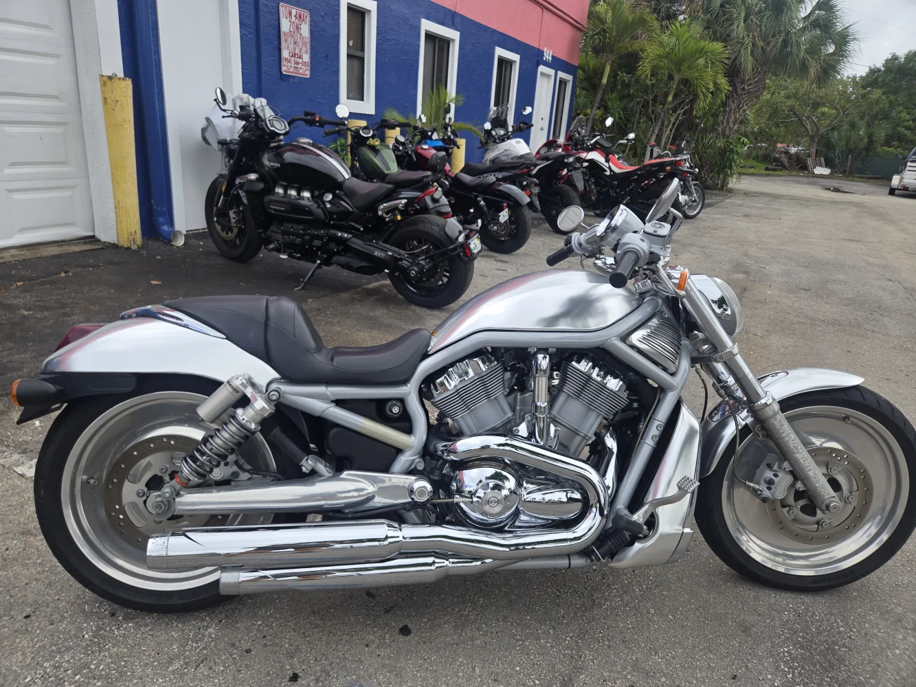 2002 Harley-Davidson VRSC V-ROD