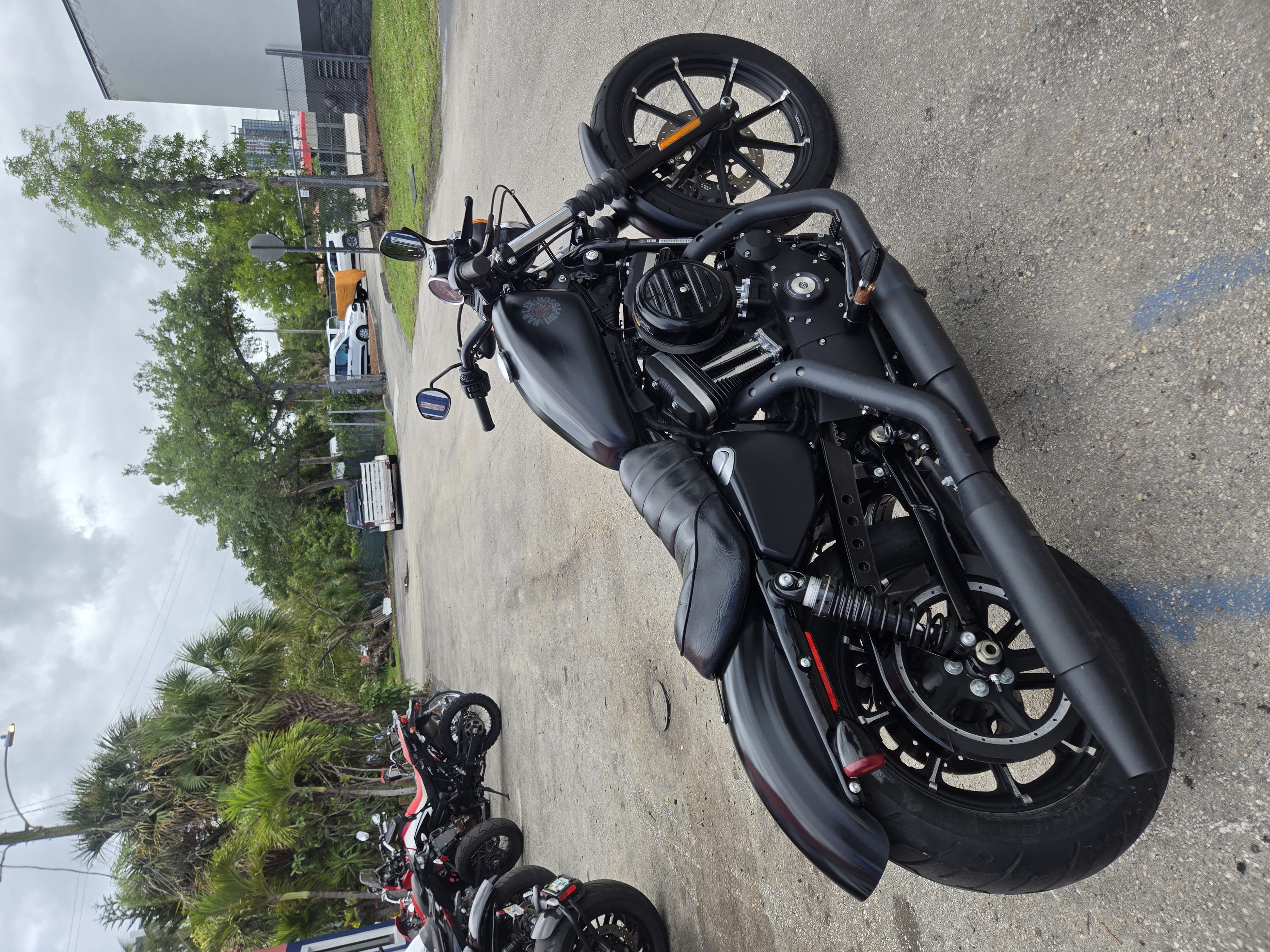2022 Harley-Davidson Xl 883 Iron