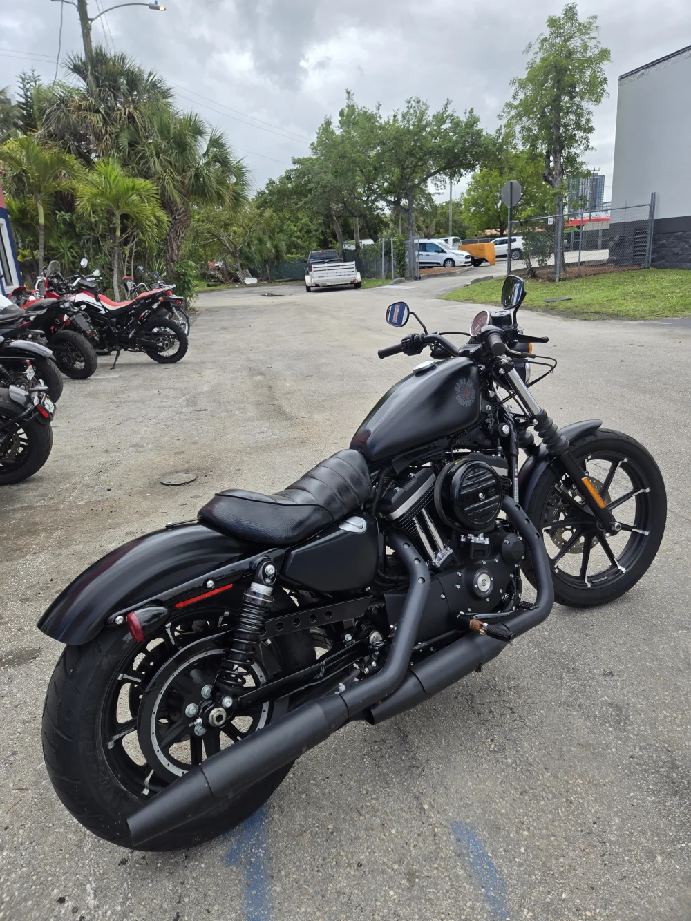 2022 Harley-Davidson Xl 883 Iron