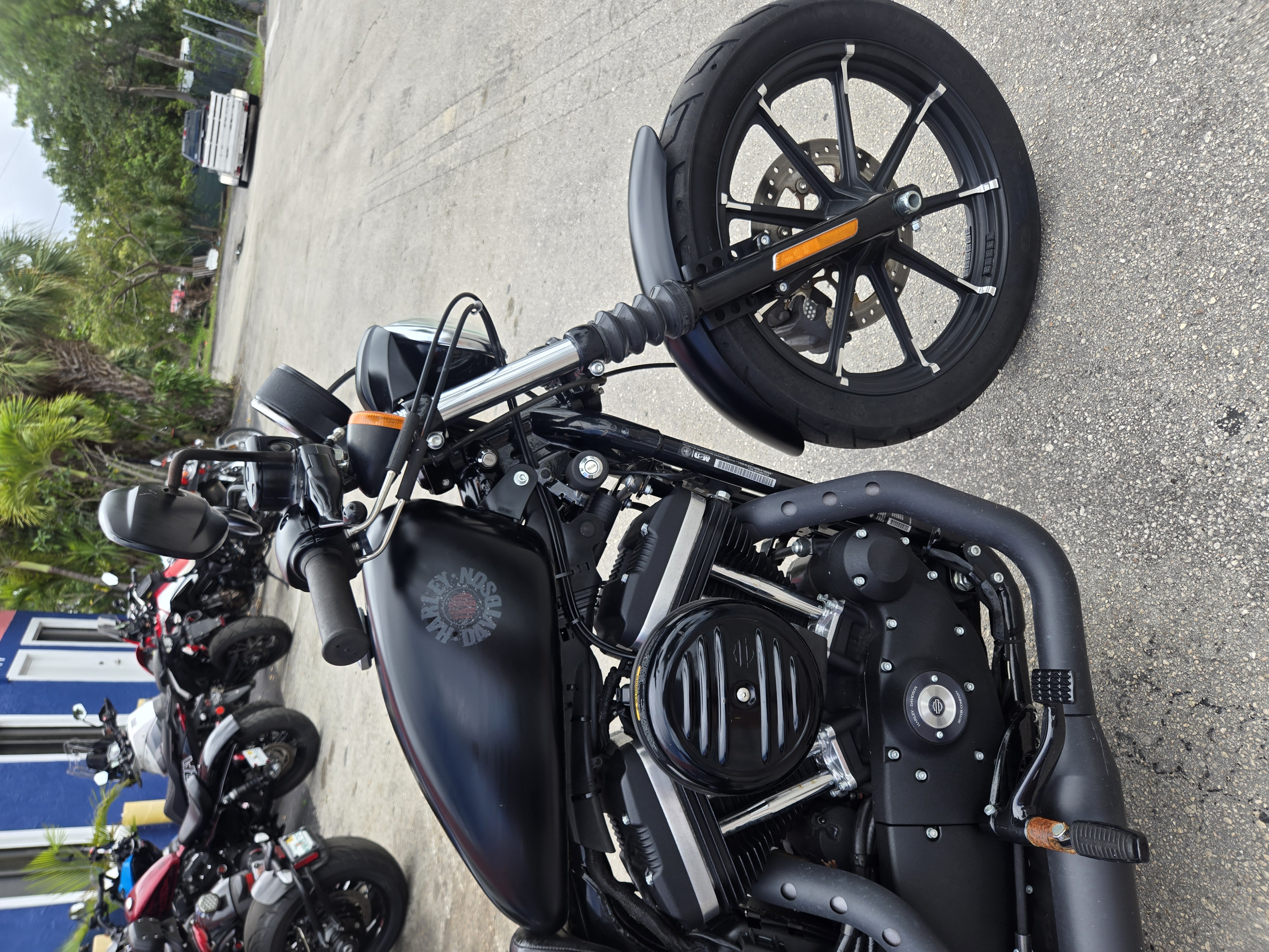 2022 Harley-Davidson Xl 883 Iron