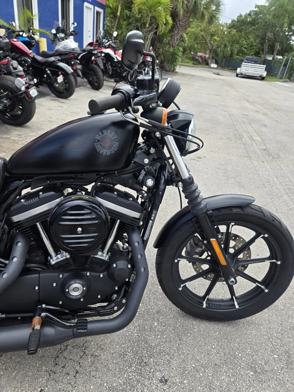 2022 Harley-Davidson Xl 883 Iron