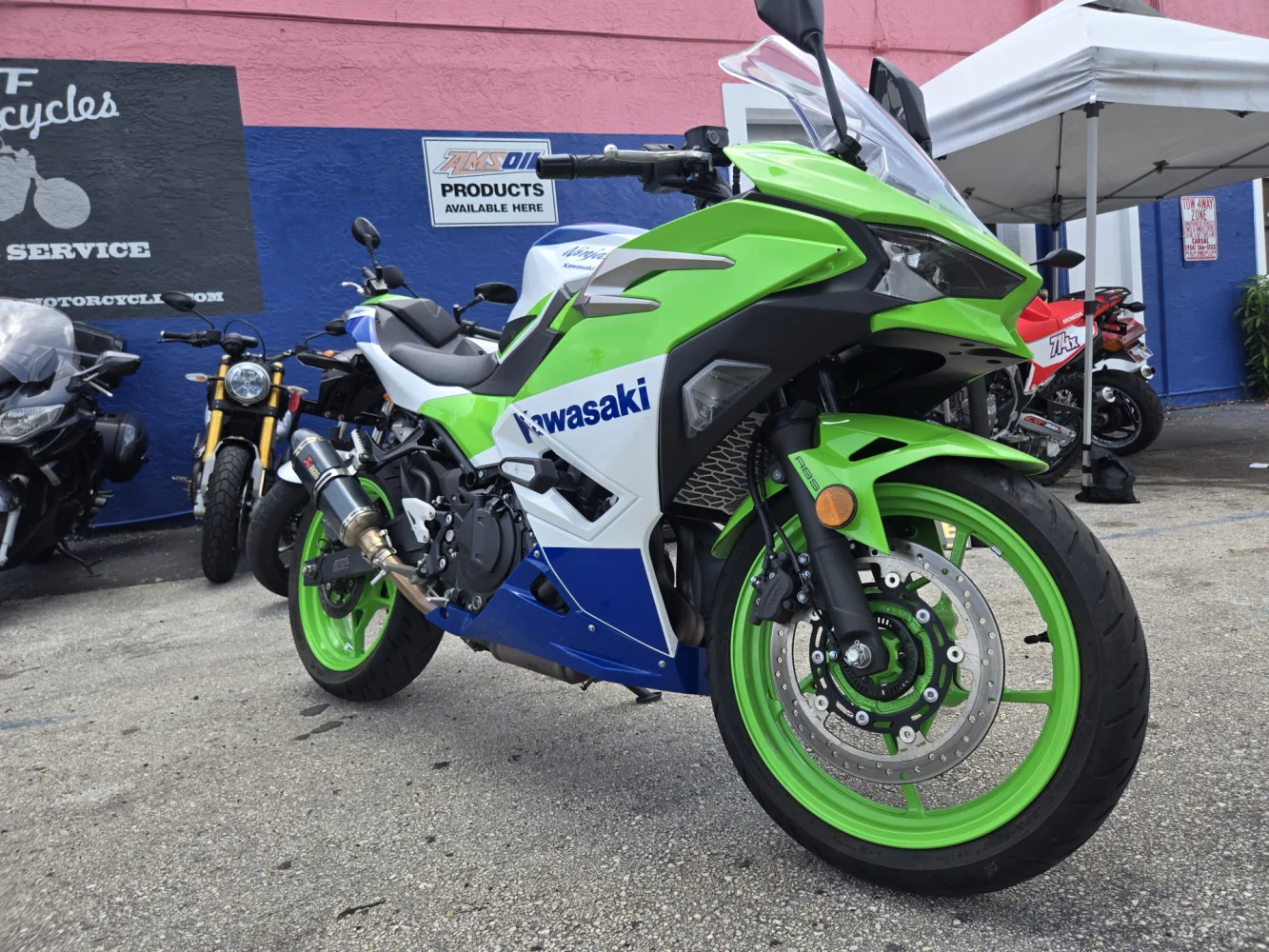 2024 Kawasaki Ninja 500 40 Anniversary