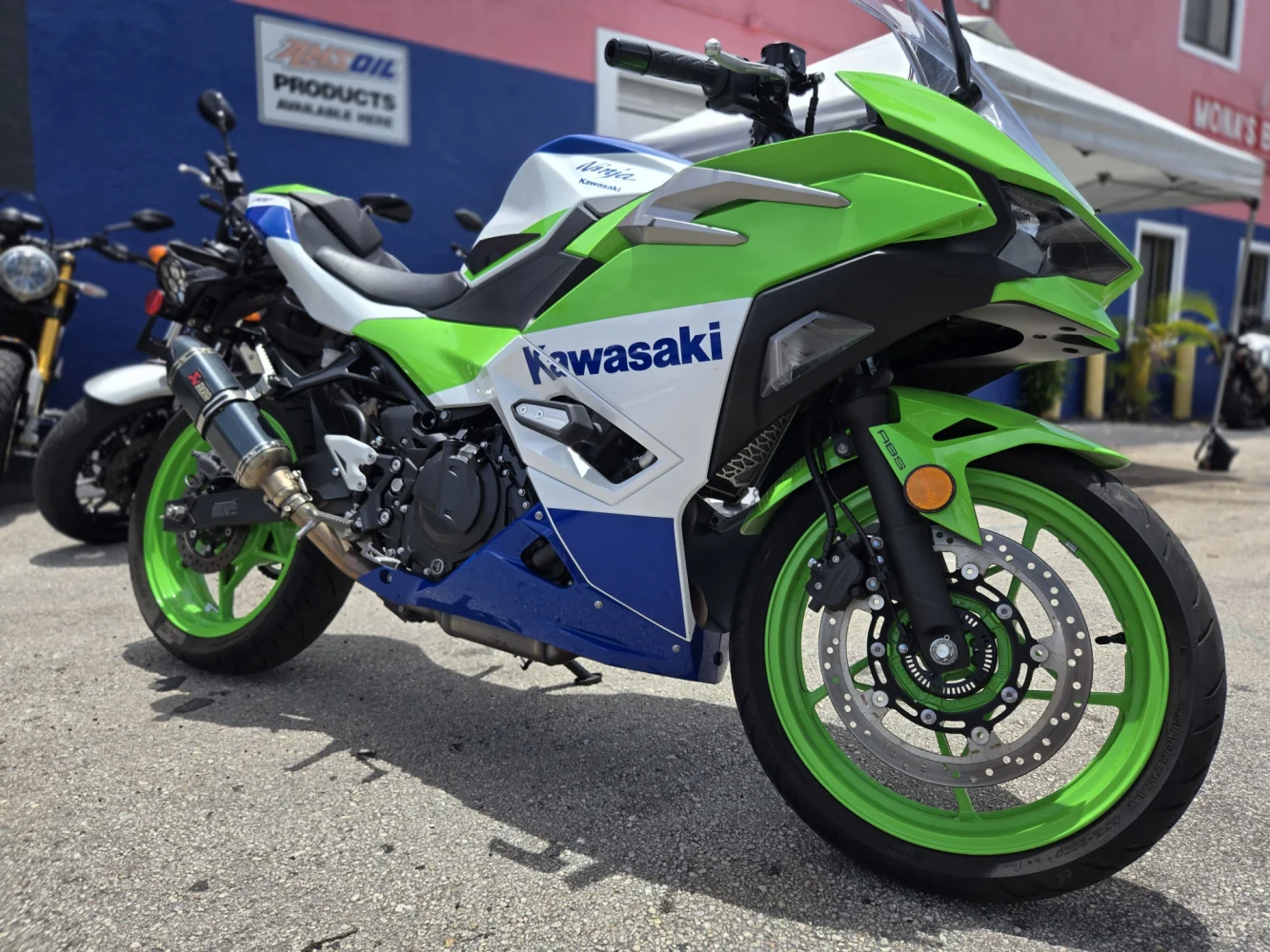 2024 Kawasaki Ninja 500 40 Anniversary