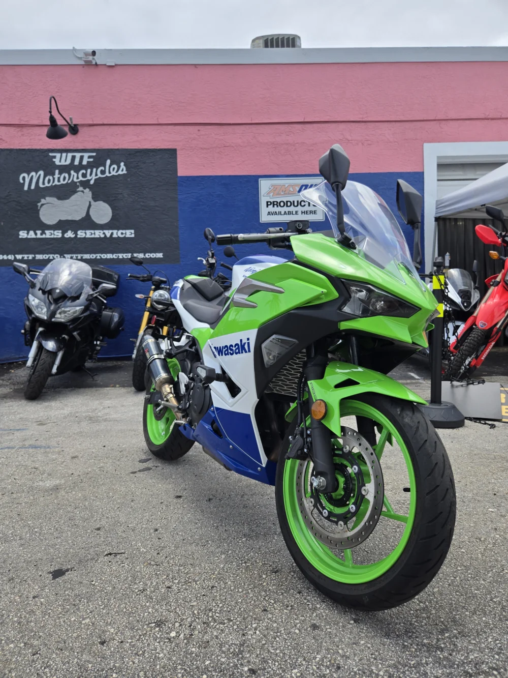 2024 Kawasaki Ninja 500 40 Anniversary