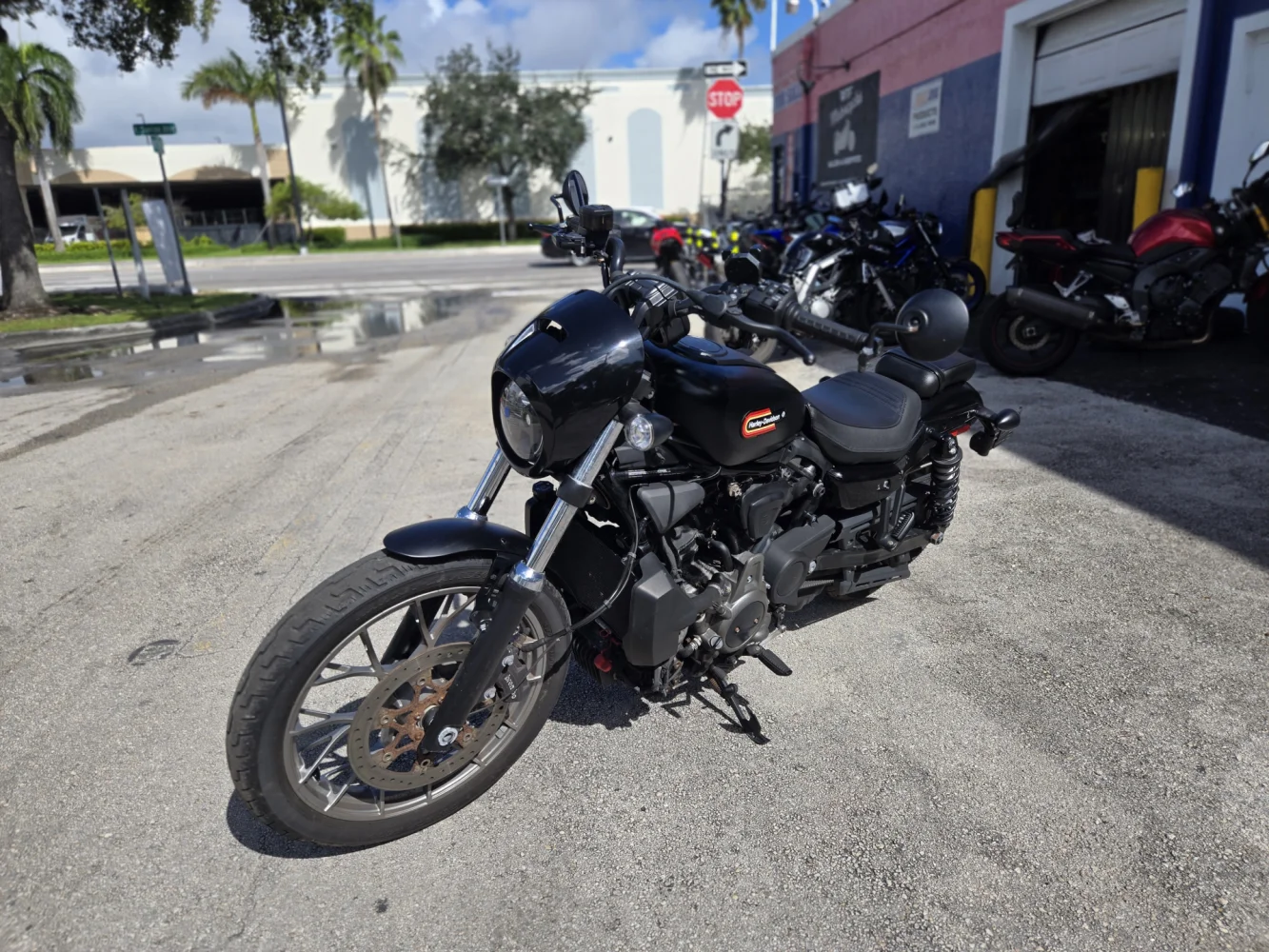 2023 Harley-Davidson Nightster Special