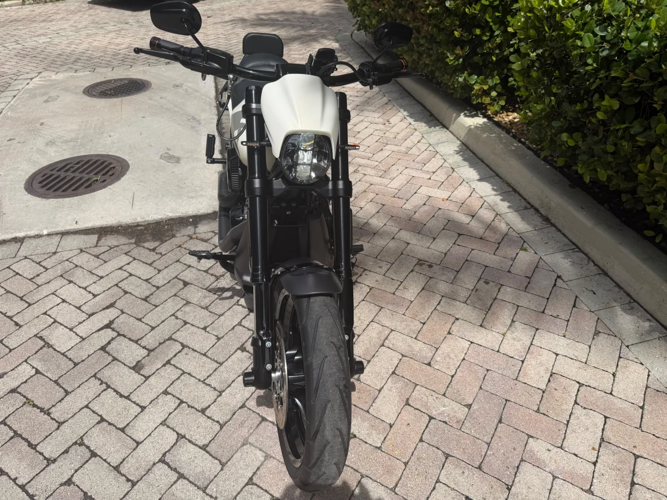 2019 Harley-Davidson Fxd114
